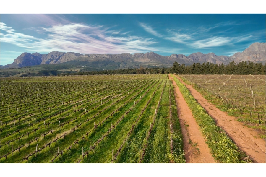 0 Bedroom Property for Sale in Paarl Rural Western Cape